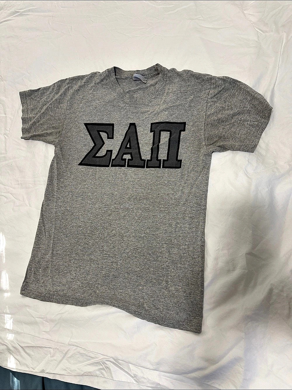 Sigma Alpha Pi T-Shirt Gray adult small